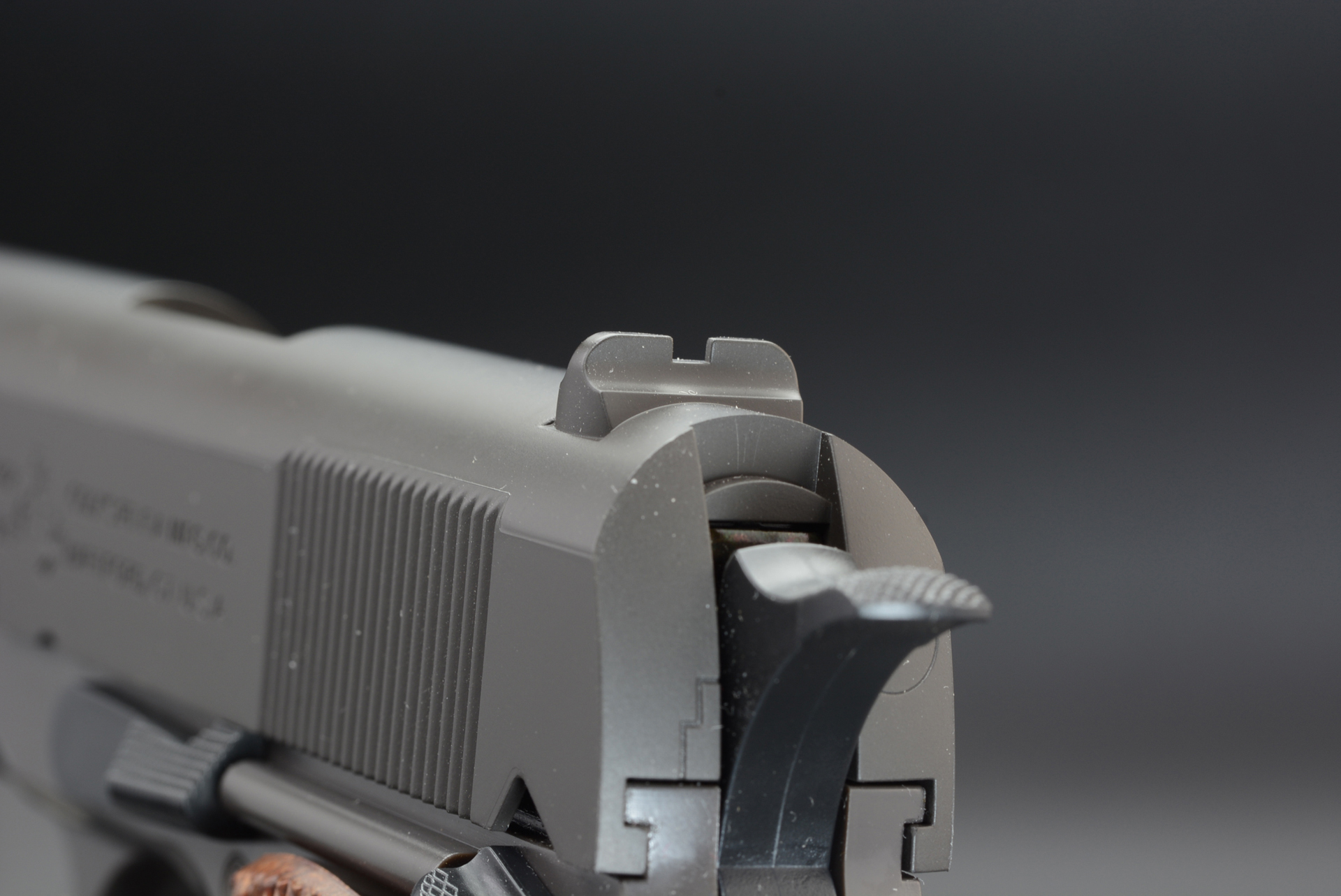 リアサイトからフロントサイトをのぞき込み狙いをつける