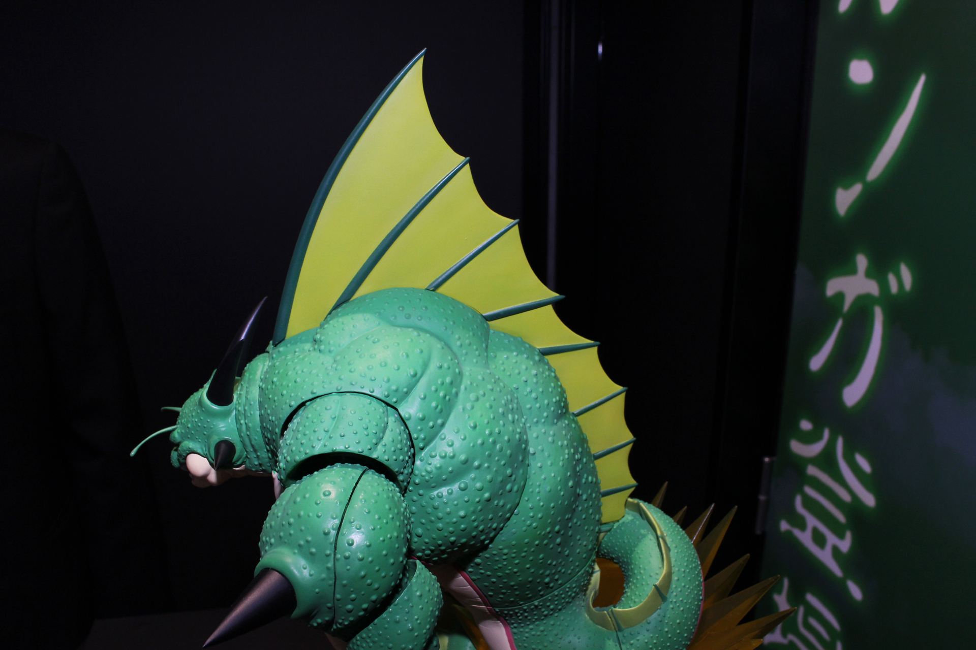 背中の大きなヒレが目立つ