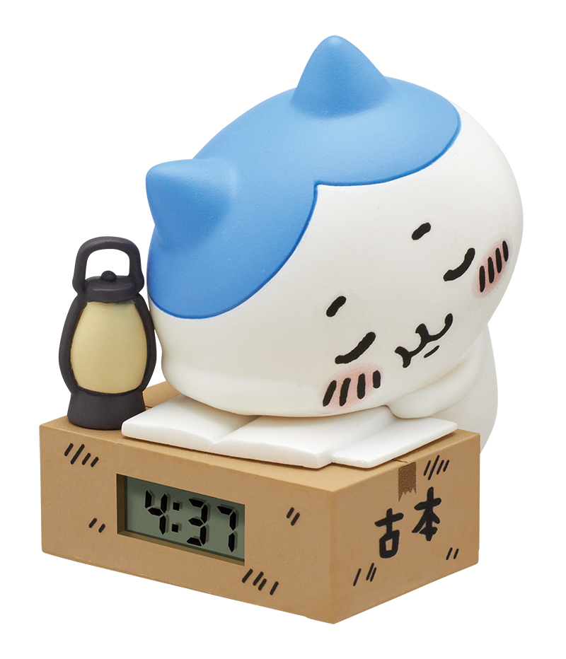 ハチワレ（いねむり）