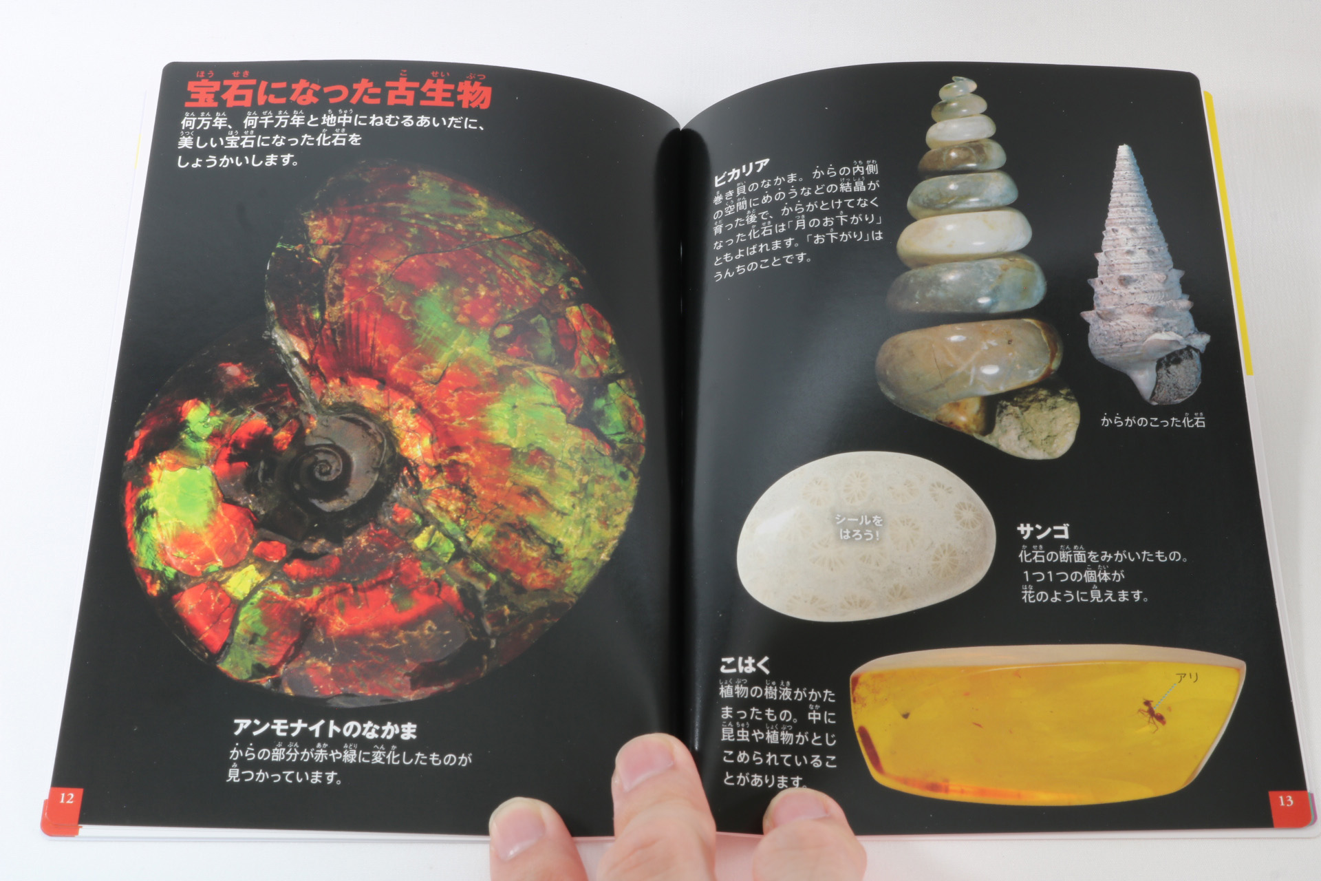 図鑑に貼って楽しめるシール