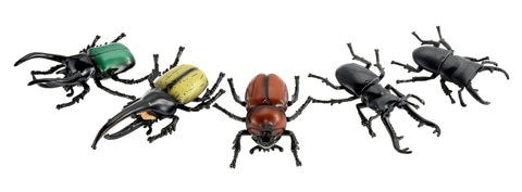 タカラトミー、「アニア」シリーズにヘラクレスオオカブトなど昆虫全5