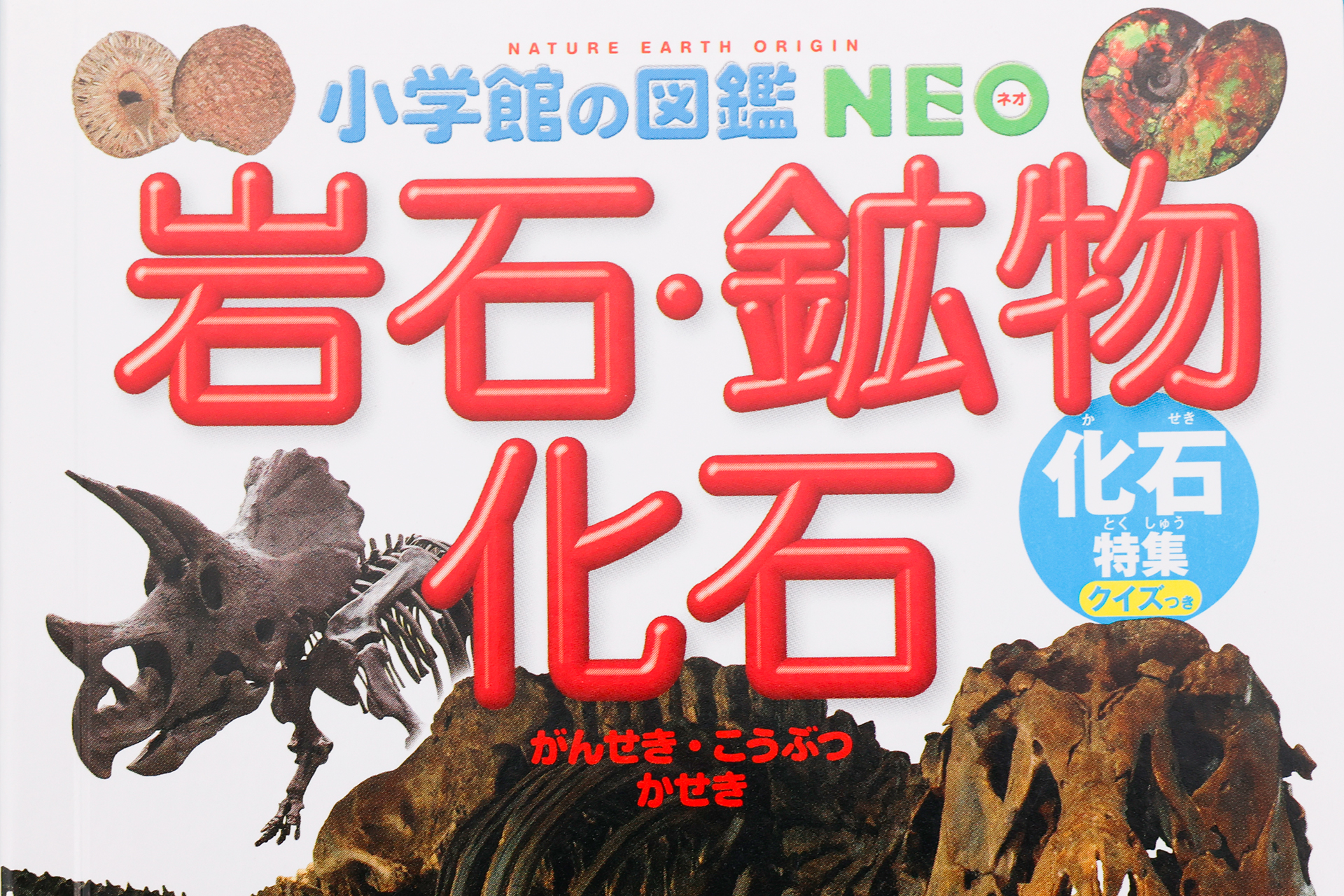 「ミニ図鑑」は、「小学館の図鑑NEO」から特別編集されたものだ