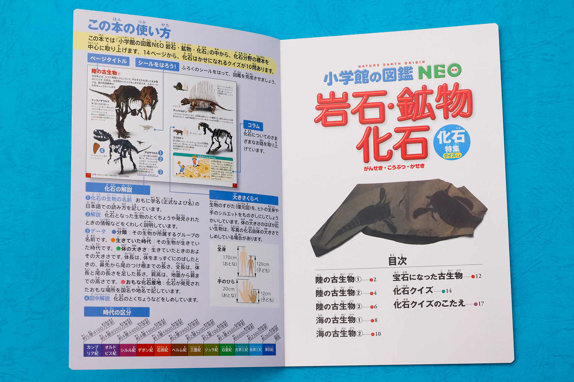 ページをめくると、本の使い方と目次が書かれている