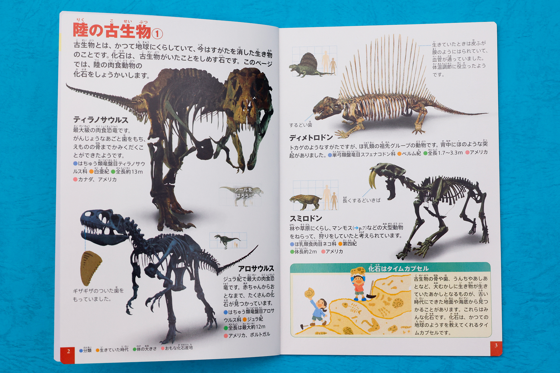 小さいながらも、中身はしっかりとした図鑑になっている