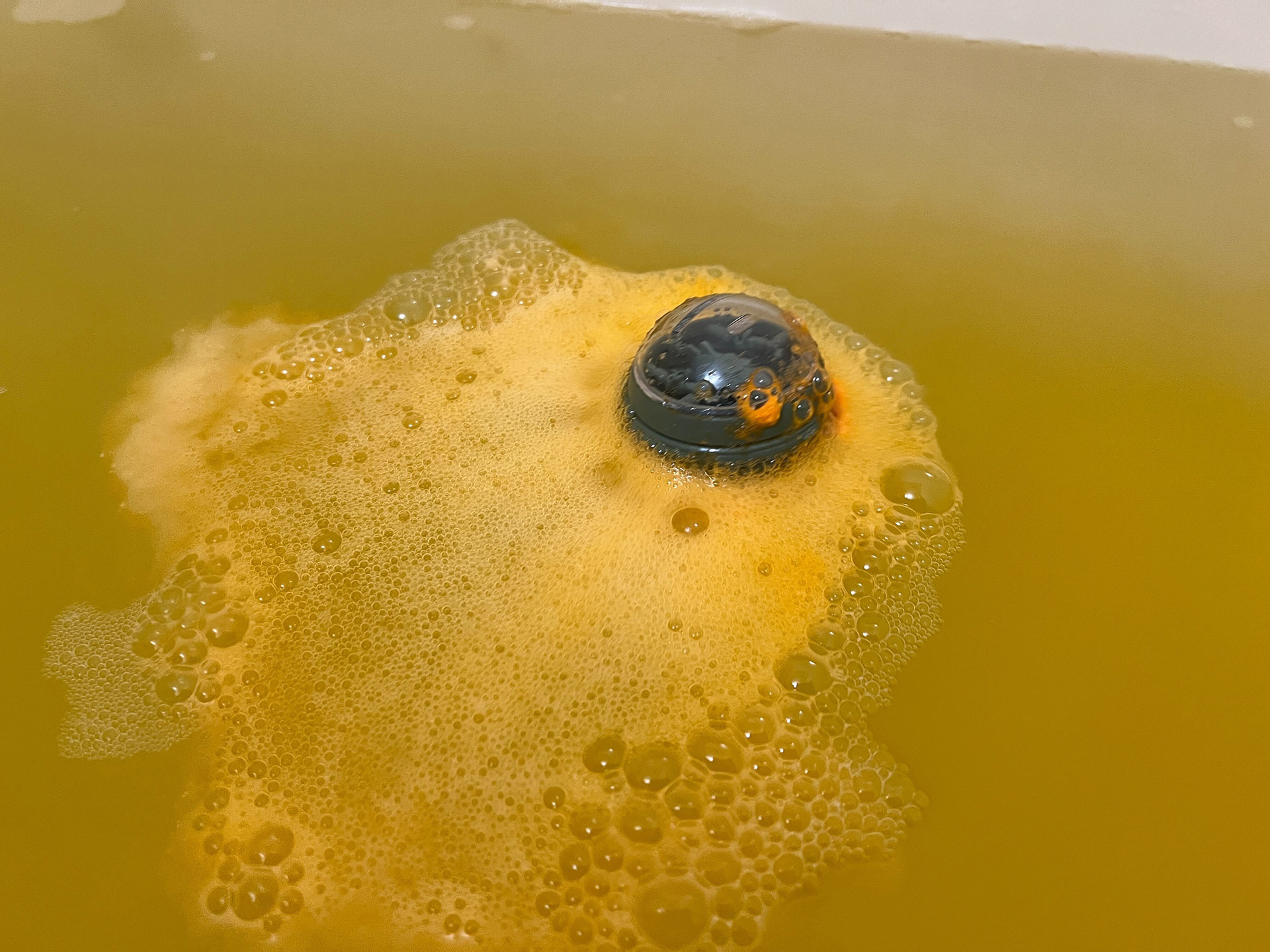 カプセルは綺麗に取り出すことができる