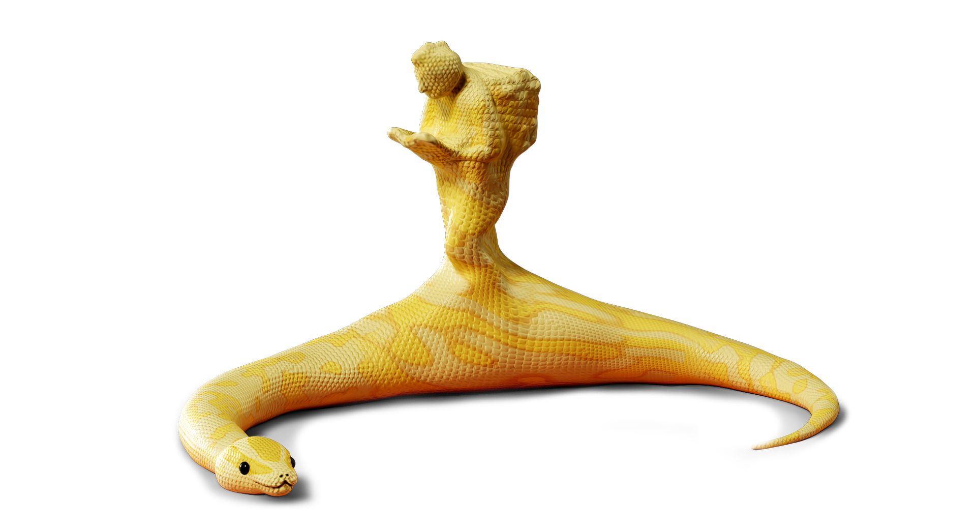 二宮金次郎的なものをノミコンダさん