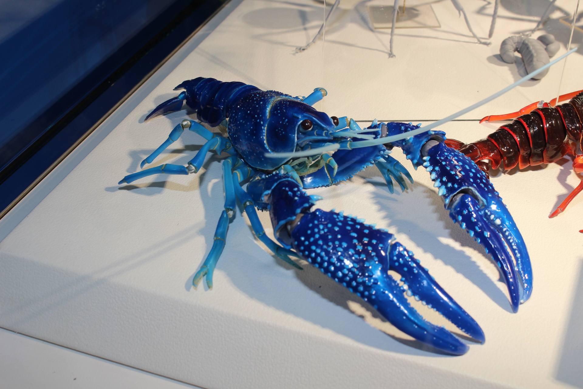 「リボルテック ザリガニ」と「ザリガニ 青ver.」。発売日、価格は未定