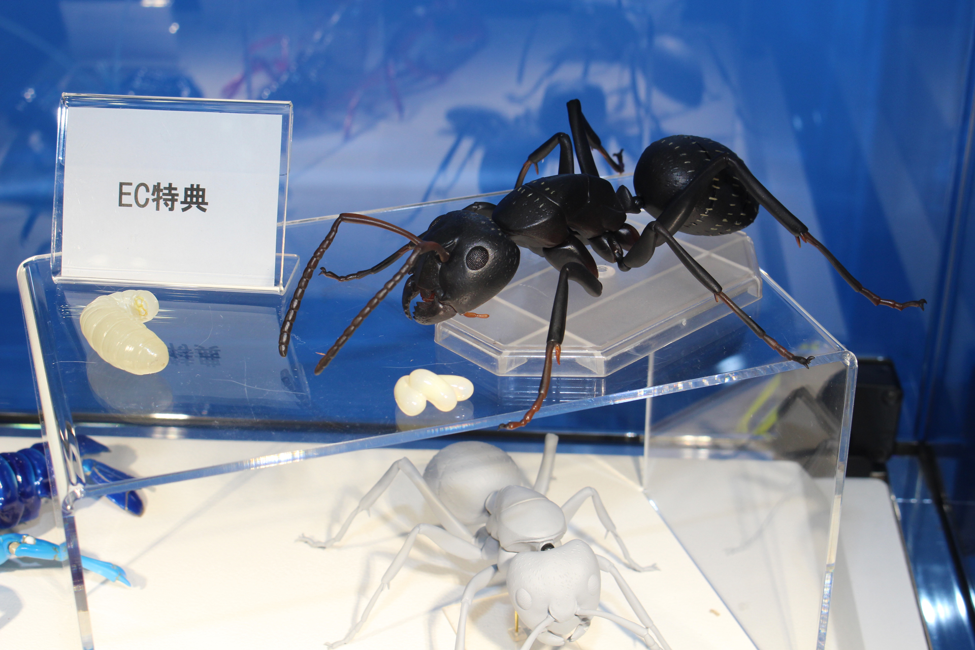 「リボルテック クロオオアリ2体セット」。11月発売予定。価格は7,700円（税込）