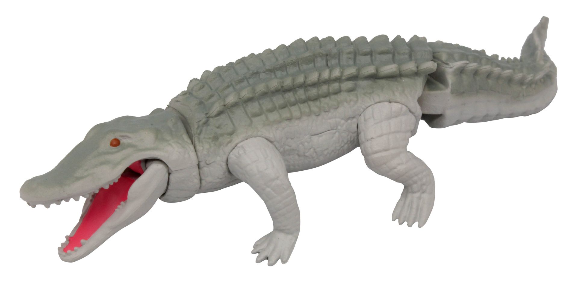 カメが付属する。