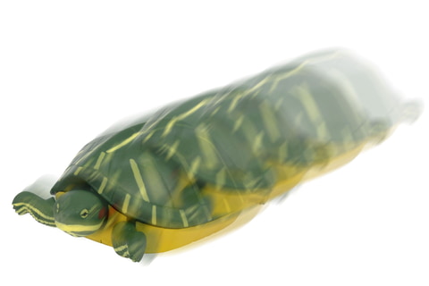 カメがプルバックで高速移動！ ガチャ「高速ガメ」9月上旬発売 - HOBBY