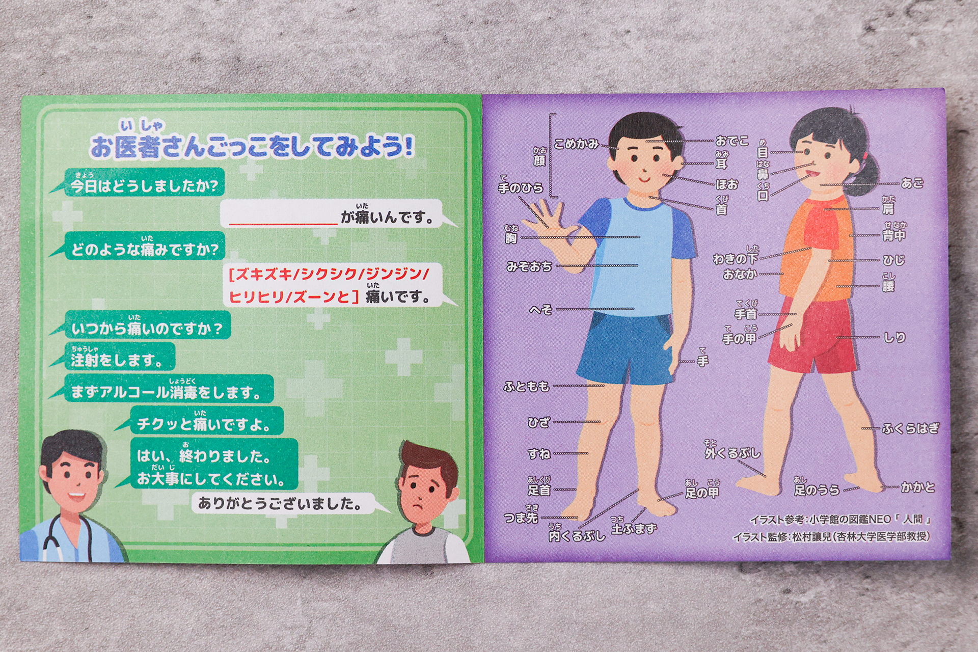 こちらが「お医者さん」に付属しているカードを開いたところ