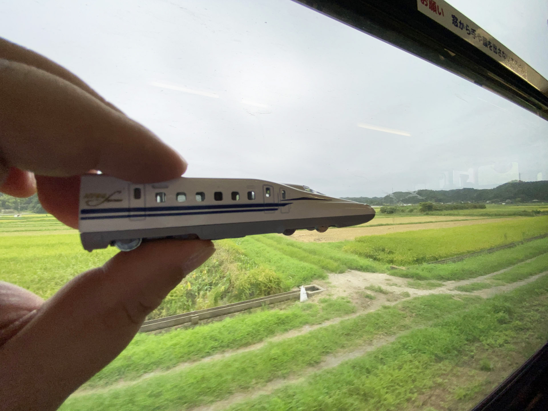 目の高さにリビングトレインを持ち上げるとさらにスピード感が高まる。いすみ鉄道の自然あふれる風景の中をリビングトレインが高速で走っているイメージになる