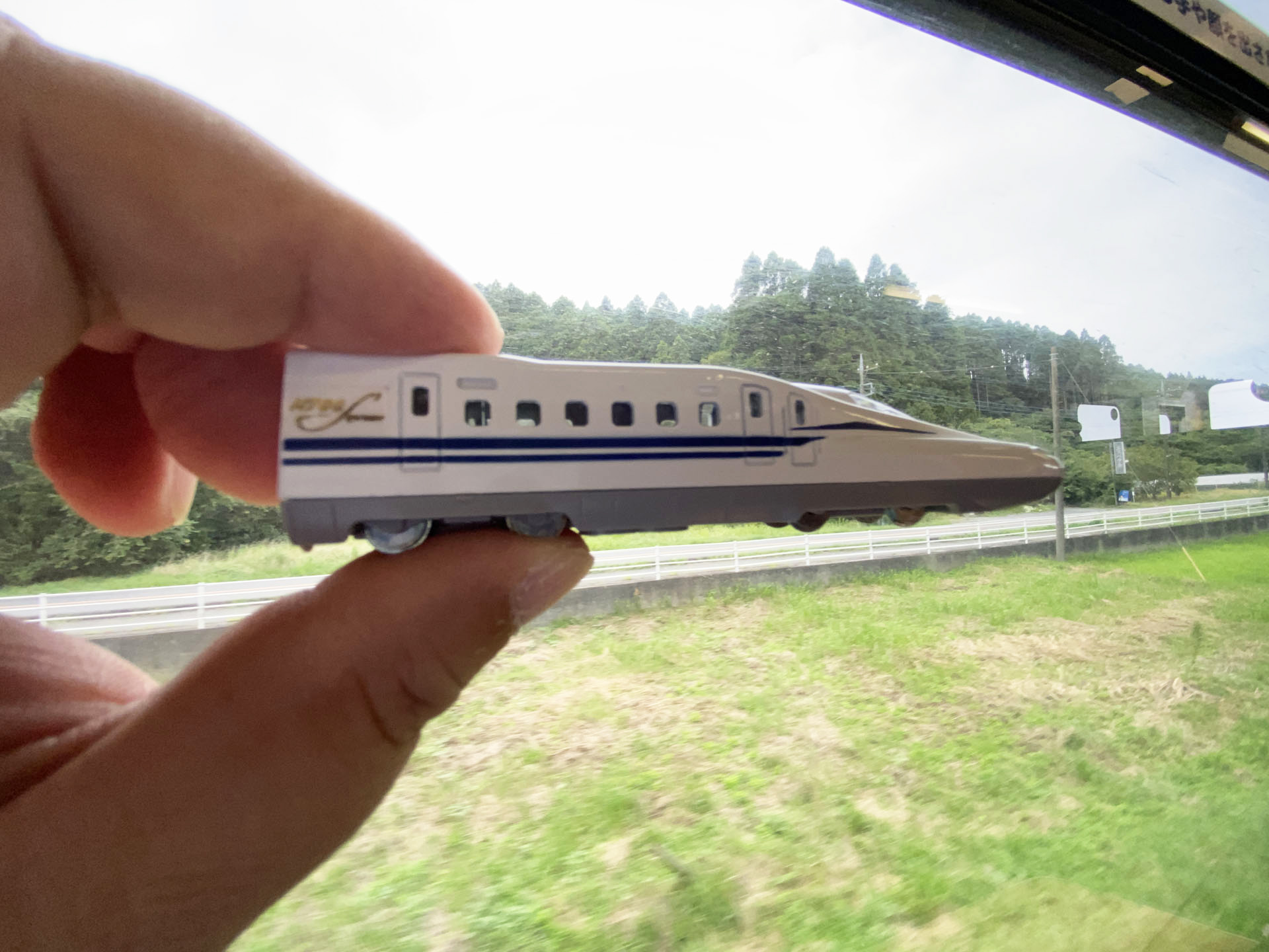 目の高さにリビングトレインを持ち上げるとさらにスピード感が高まる。いすみ鉄道の自然あふれる風景の中をリビングトレインが高速で走っているイメージになる