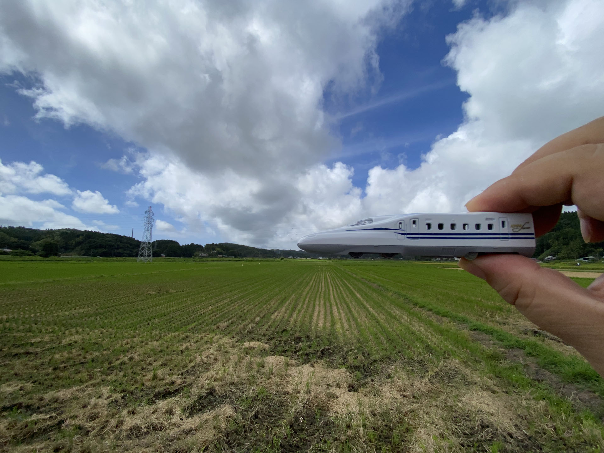田園地帯や直線が続く場所など様々な風景をリビングトレインを組み合わせてるのが楽しい