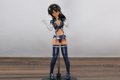 レビュー】「アリス・ギア・アイギスCS」限定版特典メガミデバイス