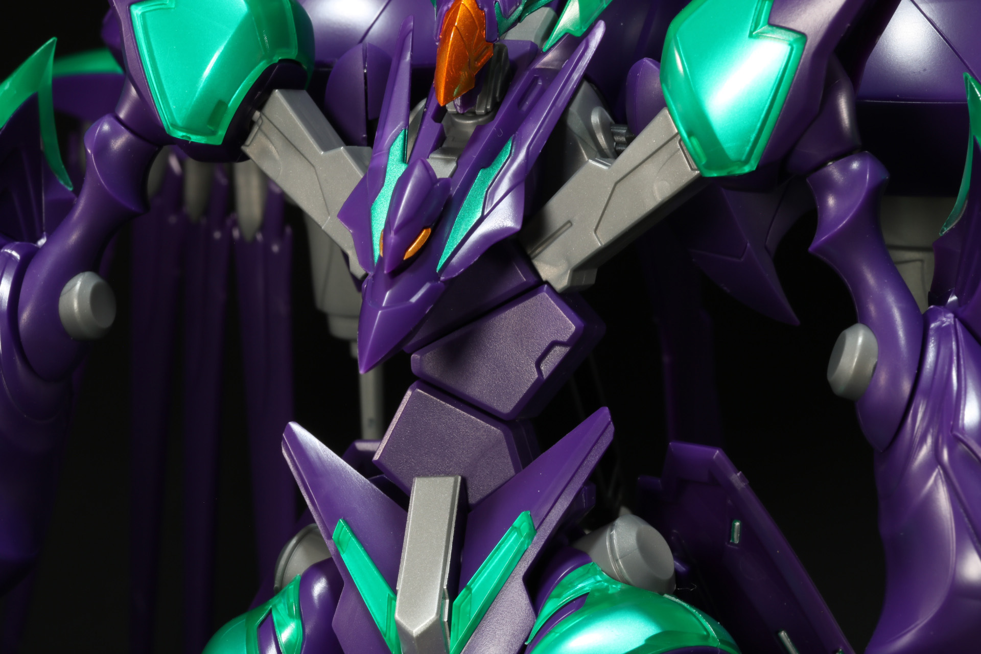 ブロック状の腹部は左右非対称