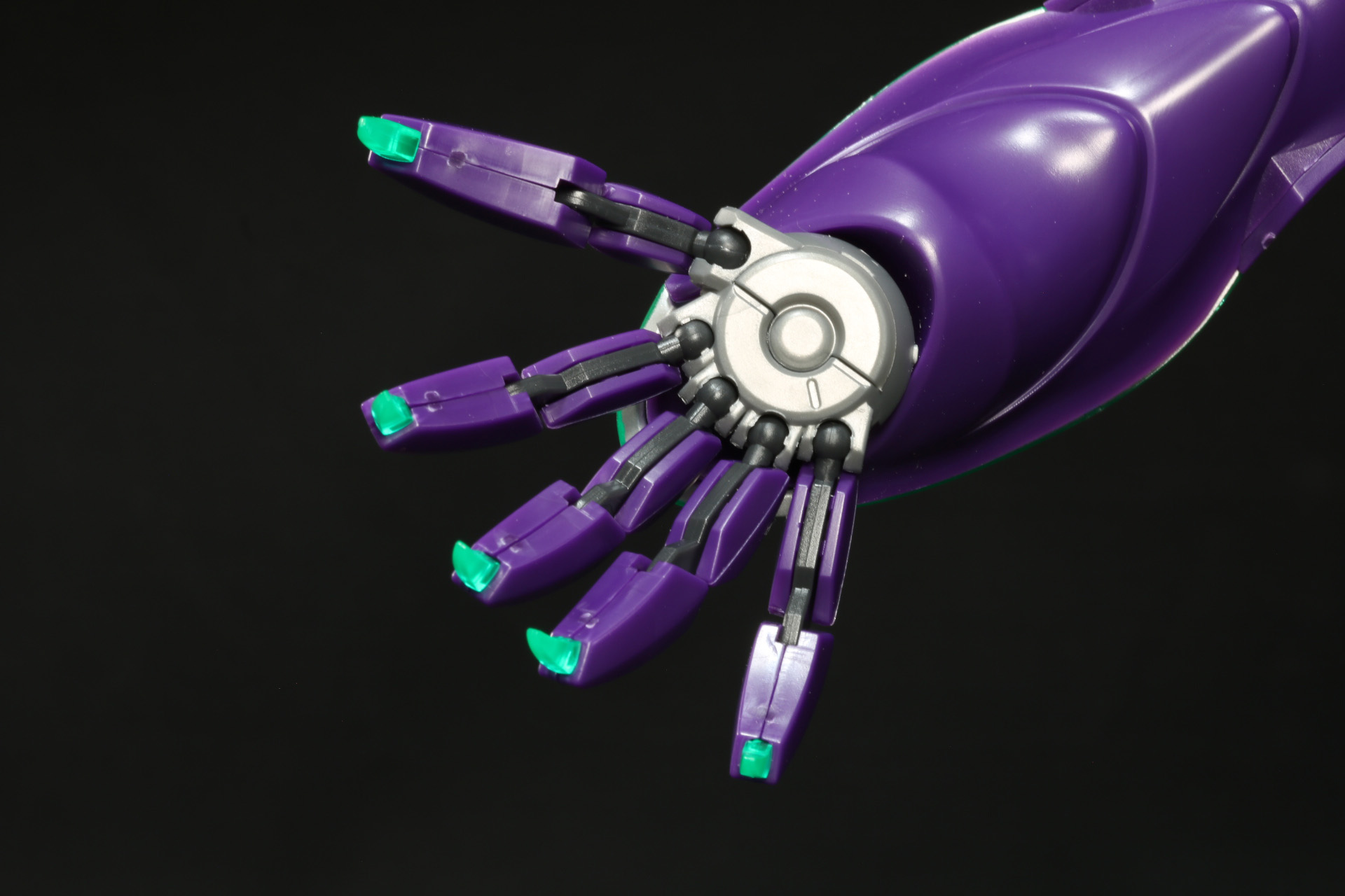 掌と鋭い爪を持った五指