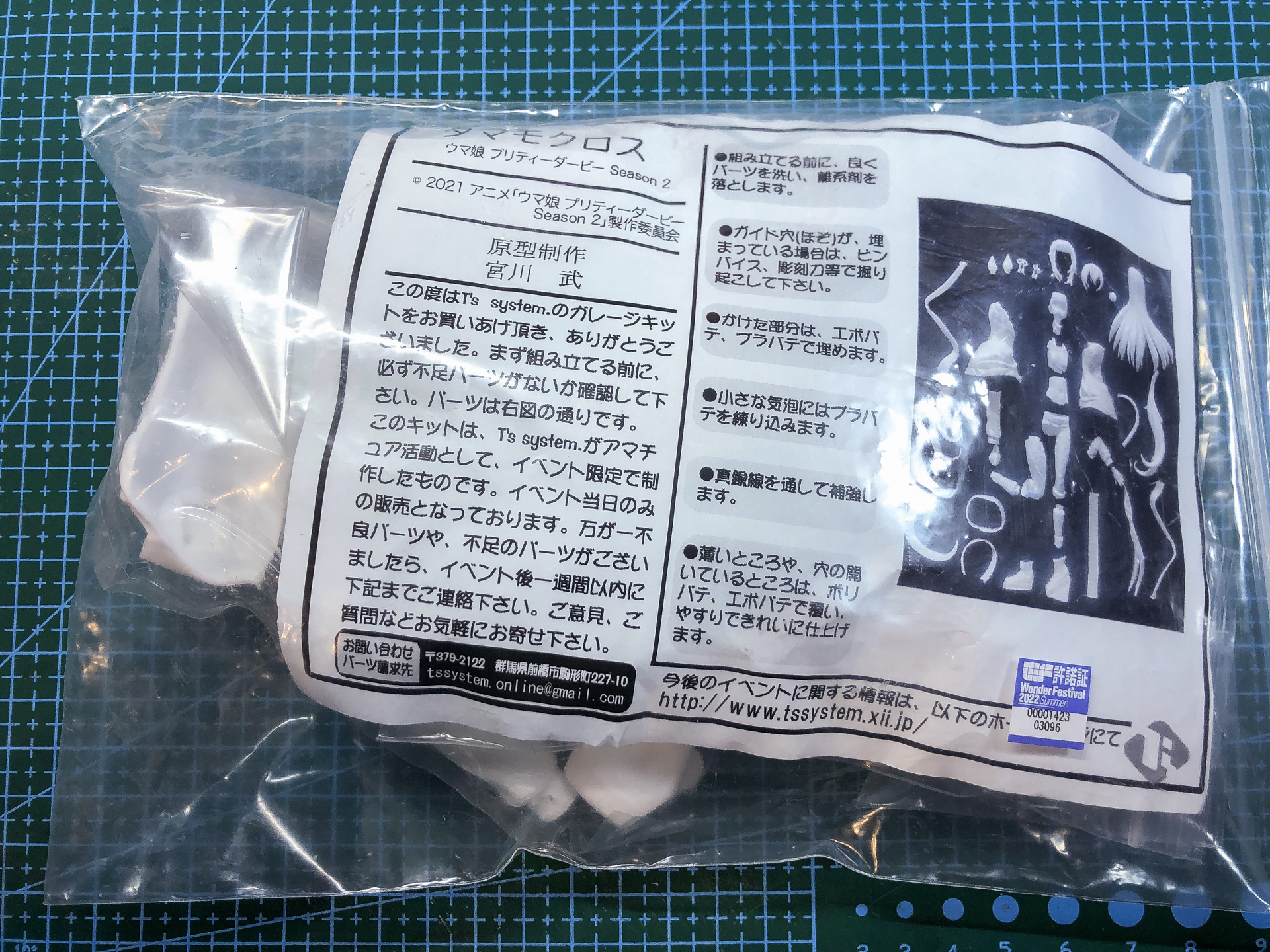 パッケージングされたガレージキット。販売者によって様々ですがシンプルなパッケージングが多いです。