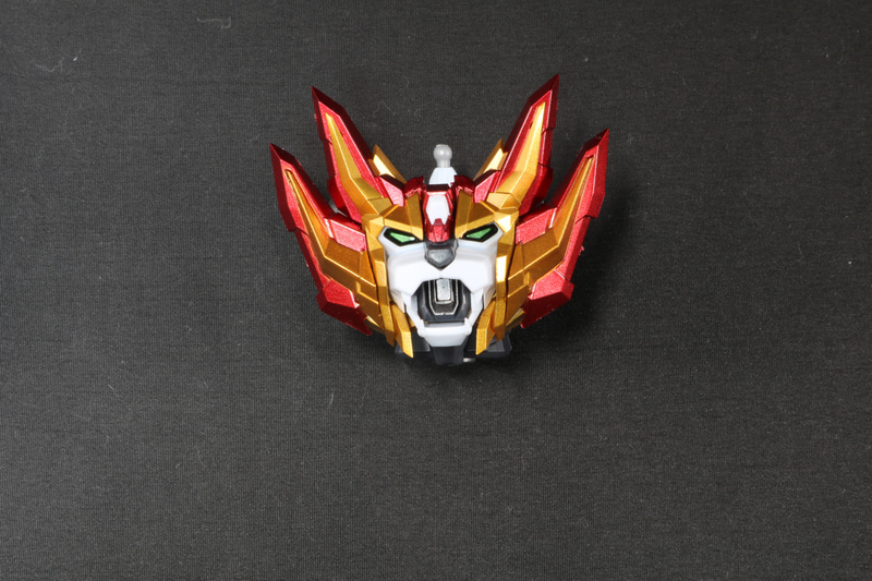 胸部のライオンヘッド