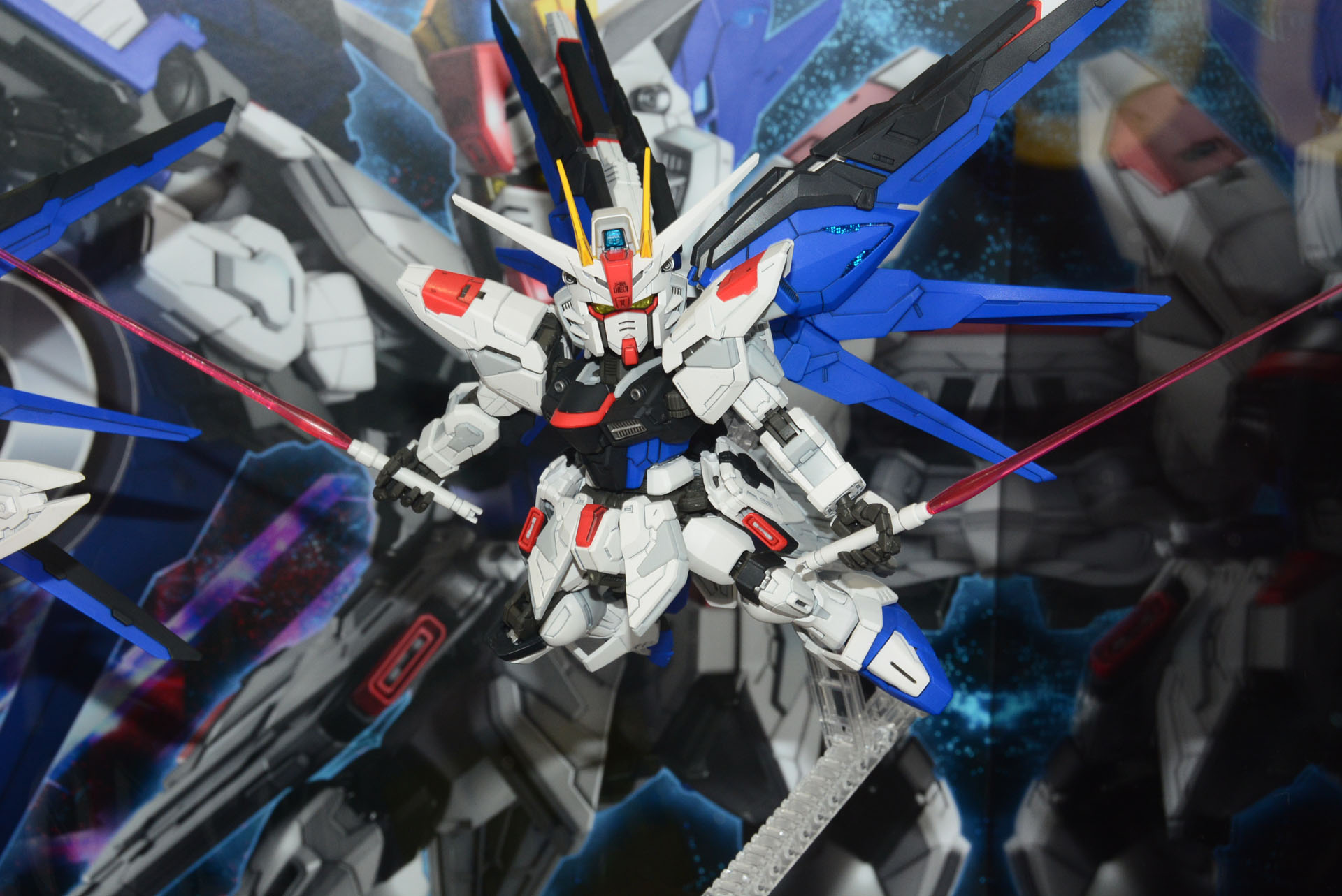 静と動、2面性を持つフリーダムならではのかっこよさが満喫できる