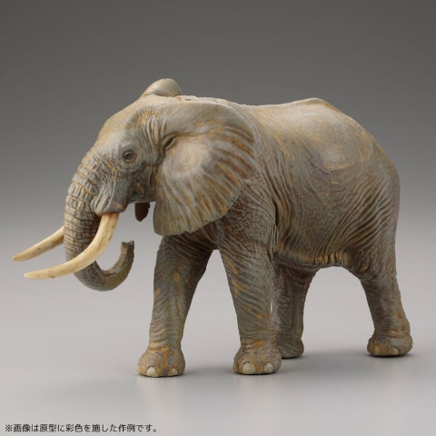 海洋堂、ARTPLAより大迫力のアフリカゾウが登場！ プラモデル