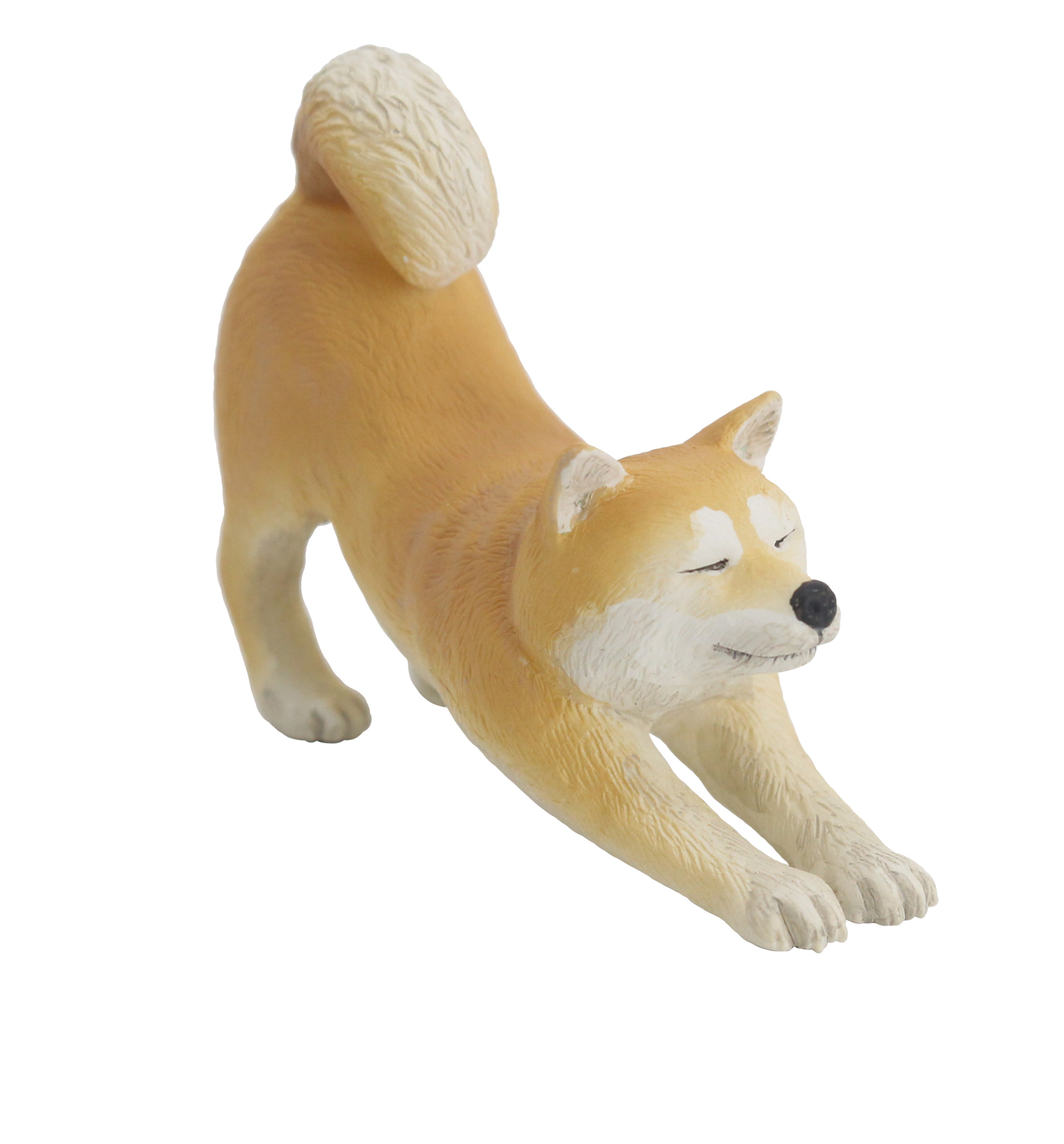 【柴犬】ののびズム