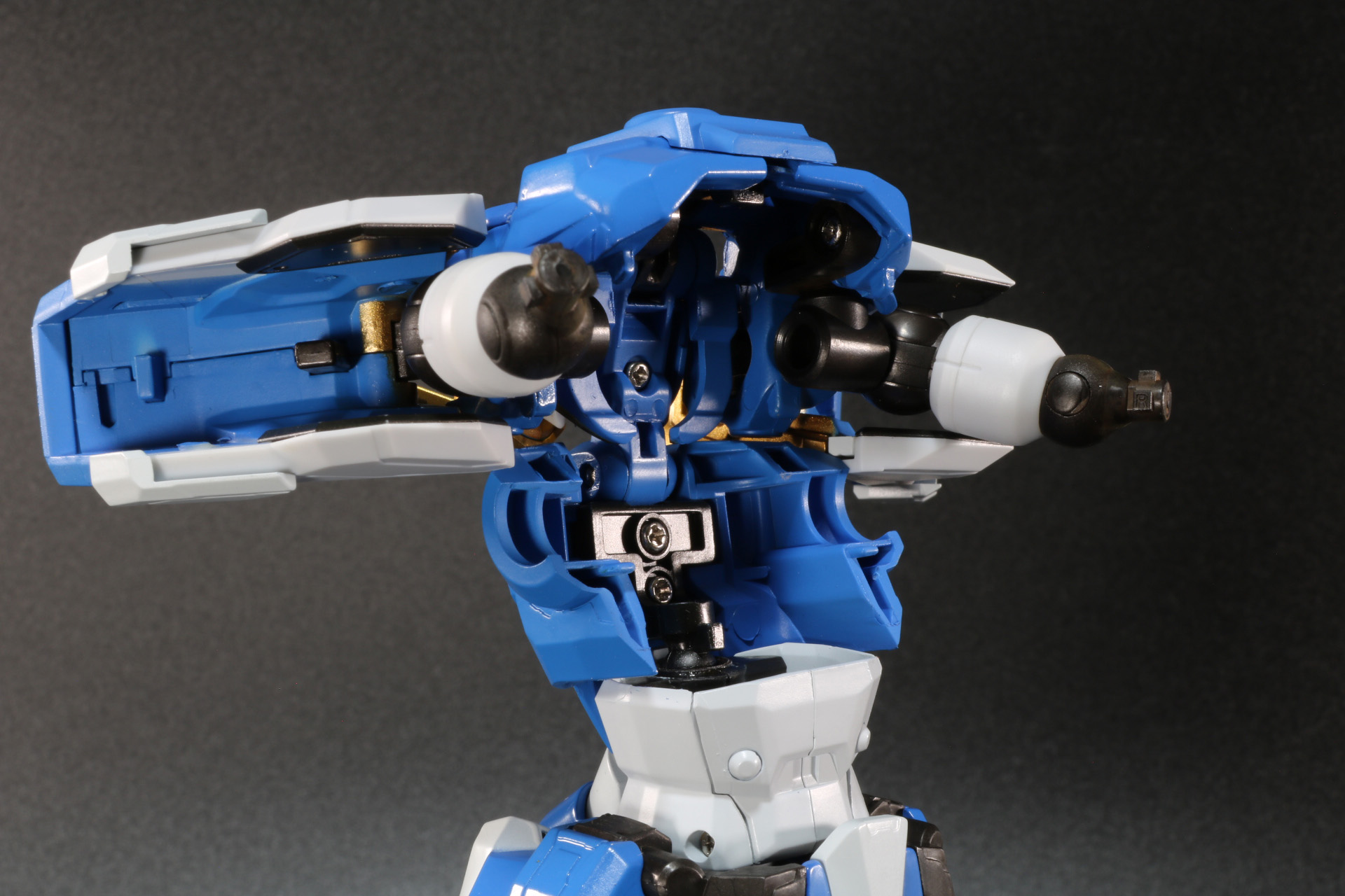 胴体の背面を開く