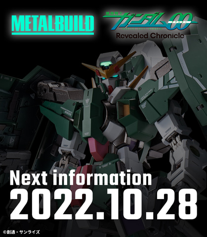 METAL Build エクシア&デュナメス-