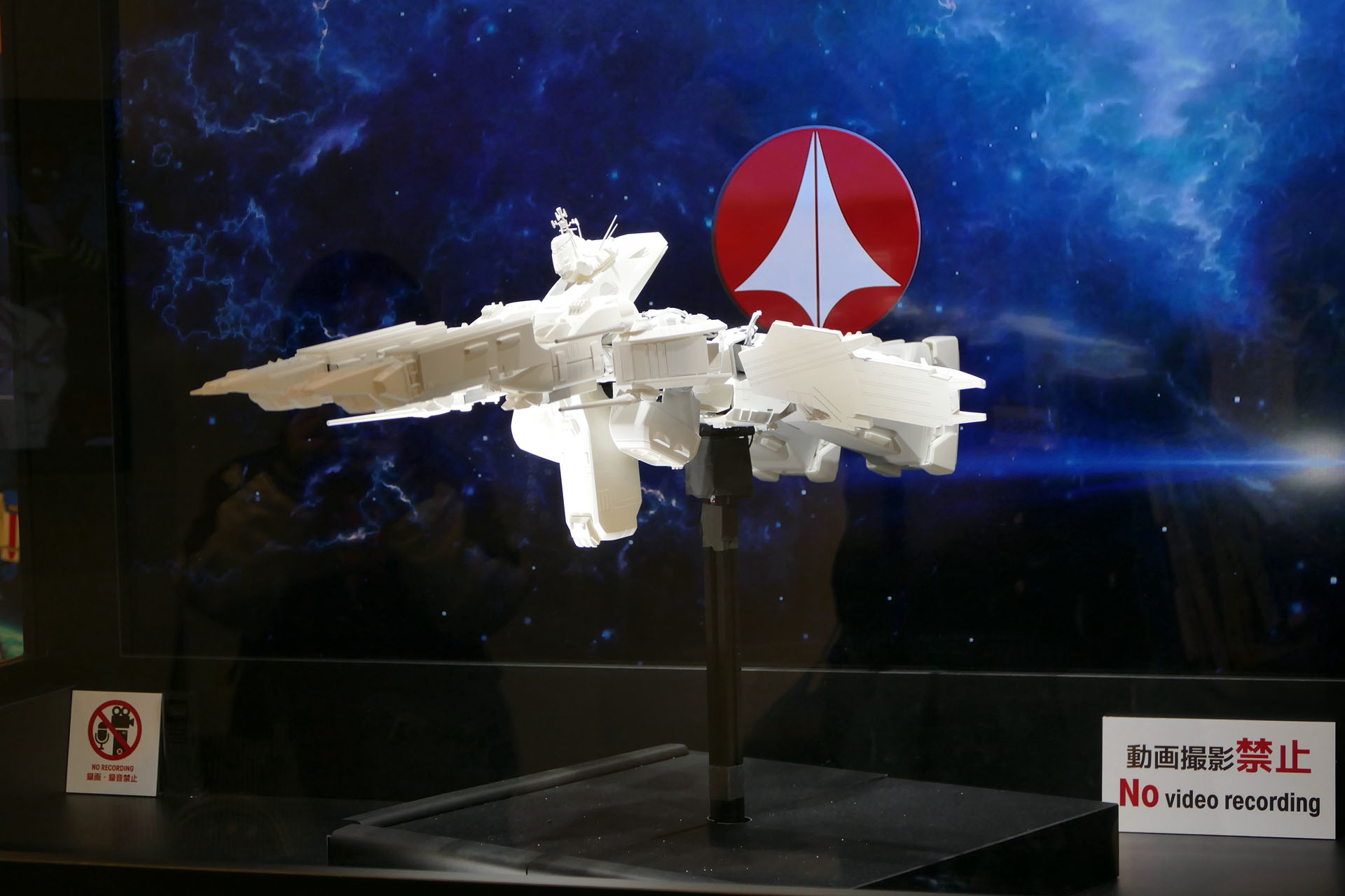 胴体中央部以外はほぼ水平に