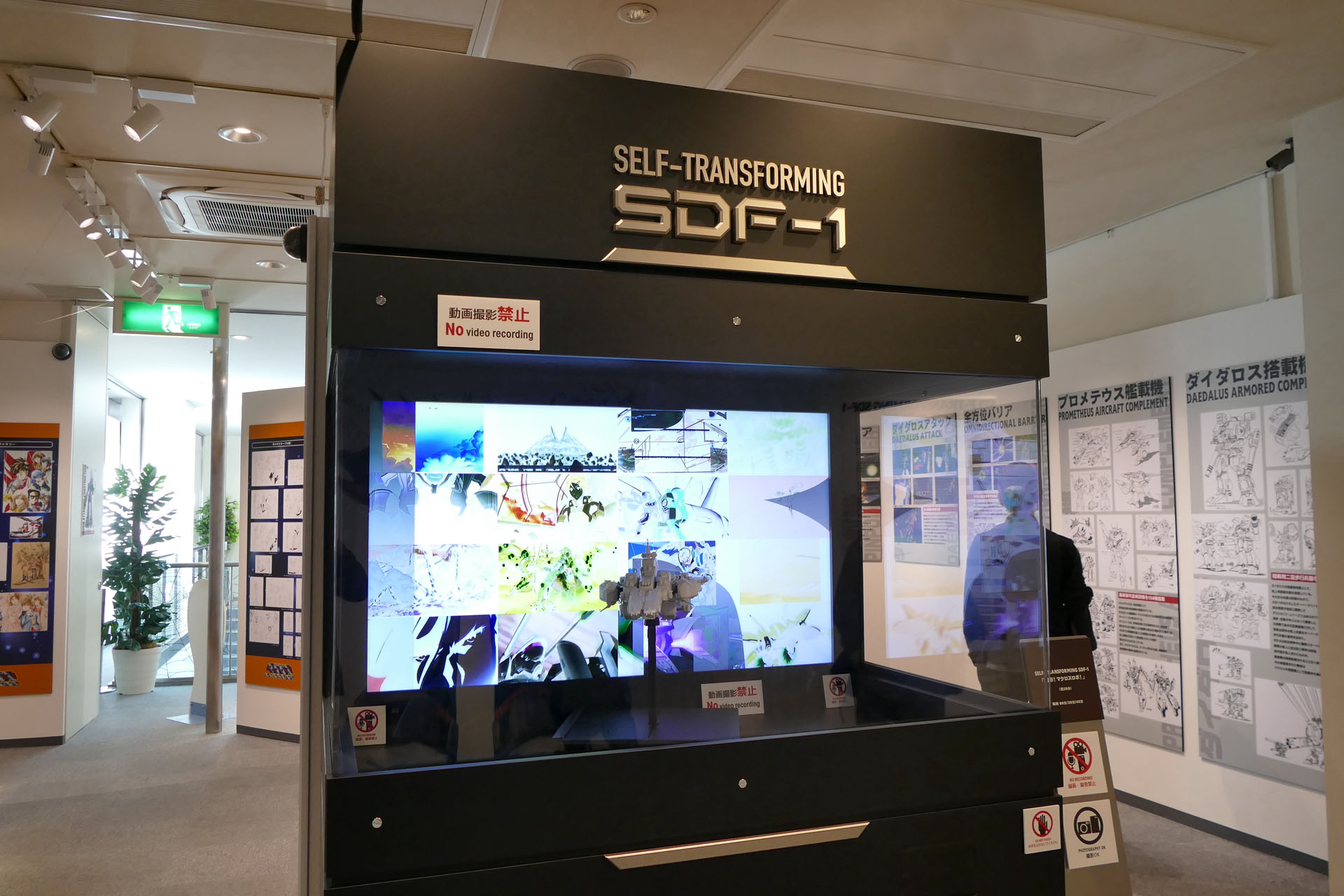 実際の展示ボックス