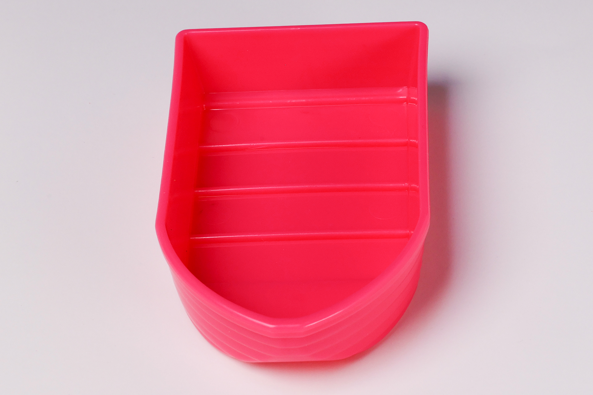 実際に遊ぶときは、お風呂など水の上に浮かべよう