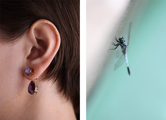 クローズアップ撮影の例