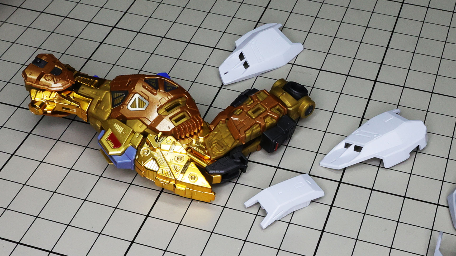 この大腿部裏にびっしりモールドを発見しました