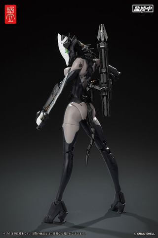 ヒューマンヘッドとメカヘッドに交換可能！ アクションフィギュア