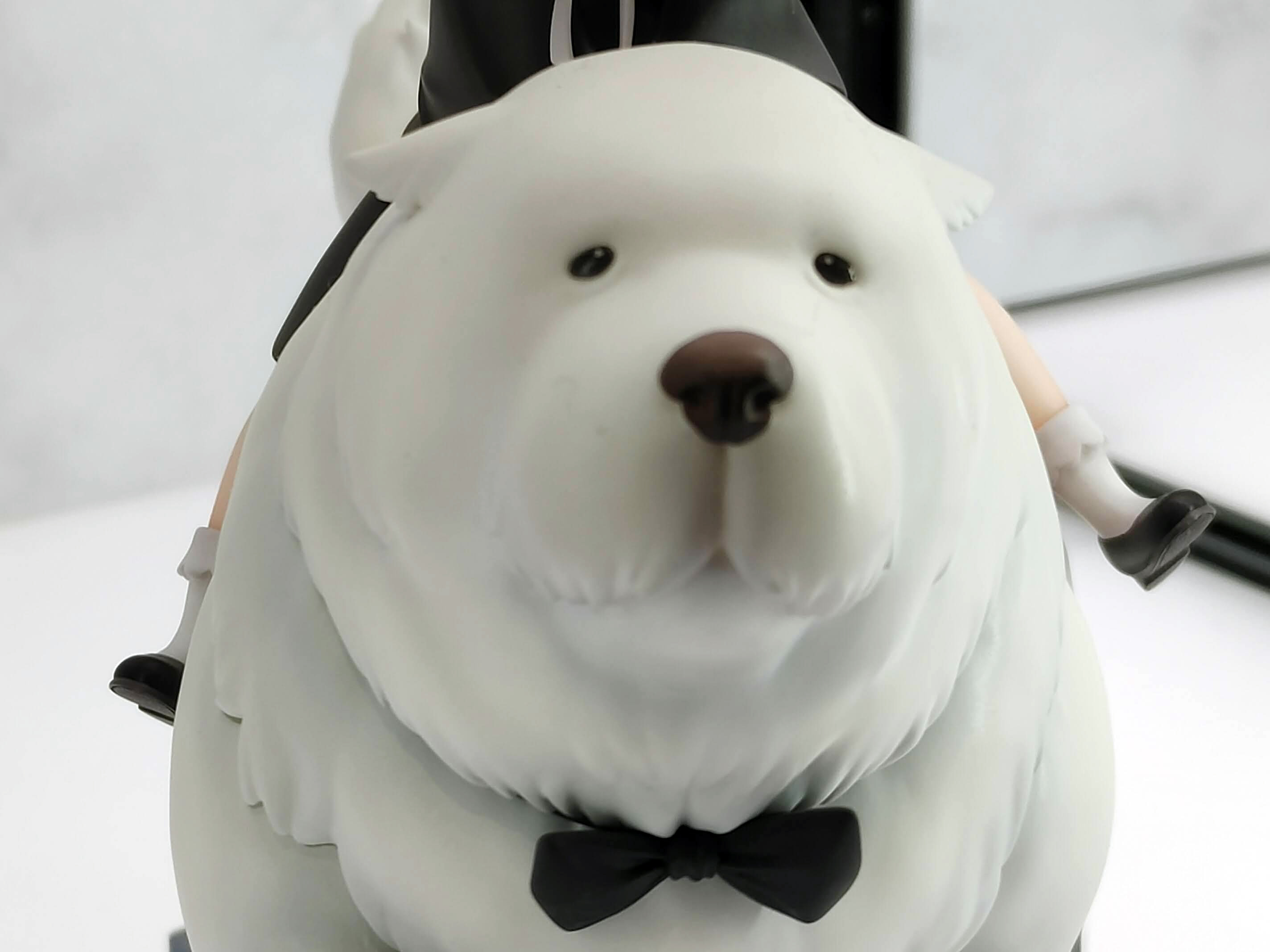 小さな黒目にハイライトが繊細に入っている