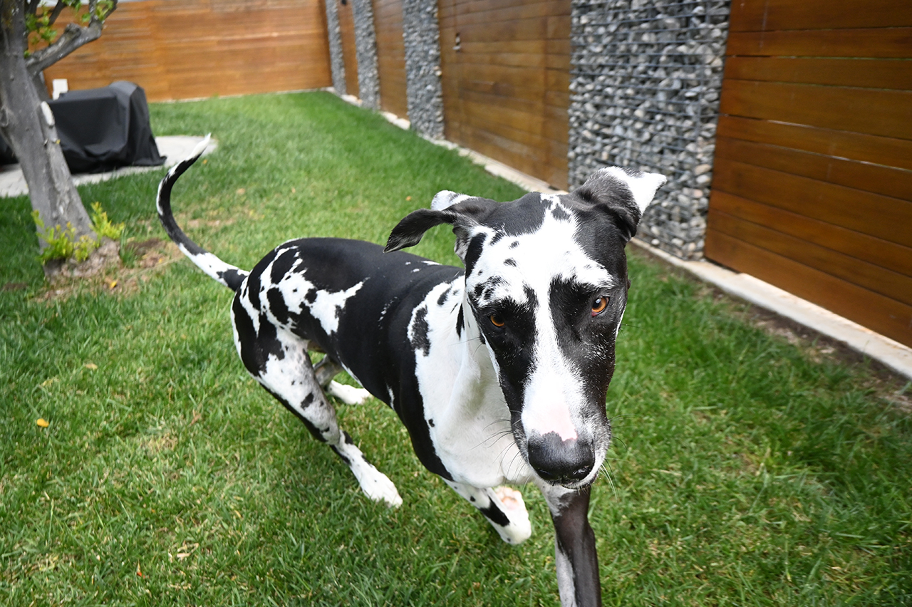 公式ページの撮影サンプル（使用レンズ：NIKKOR Z DX 16-50mm f/3.5-6.3 VR）