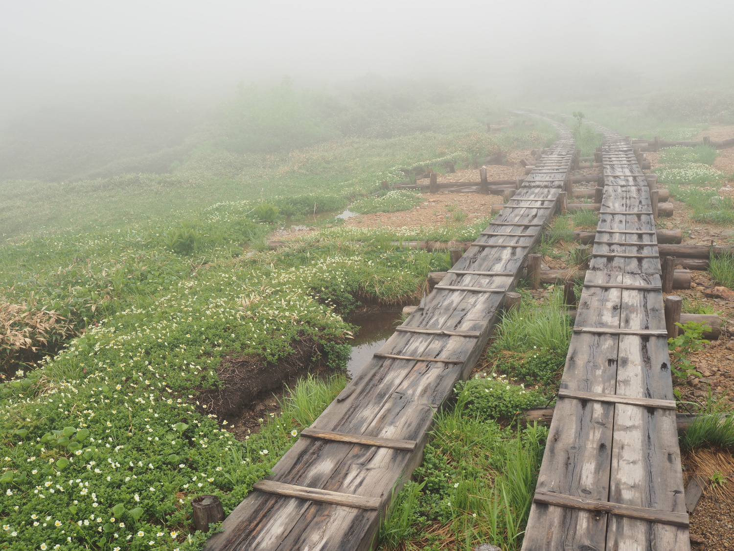 公式ページの実写サンプル（使用レンズ：M.ZUIKO DIGITAL ED 12-45mm F4.0 PRO）
