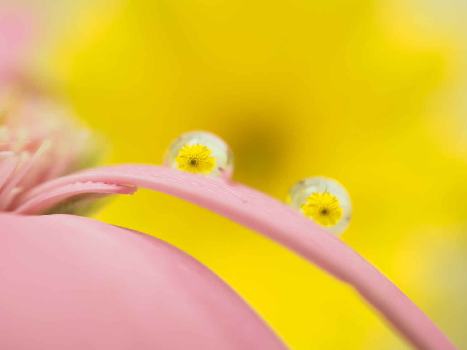 公式ページの実写サンプル（使用カメラ：E-PL7）