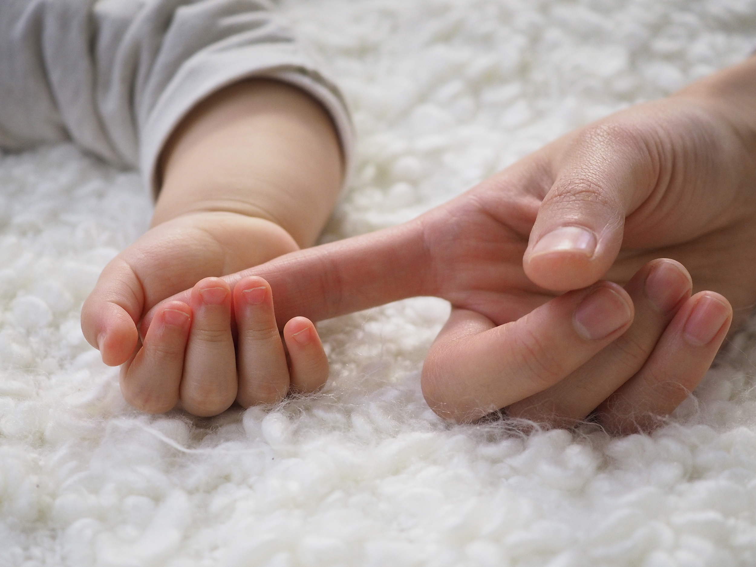 公式ページの実写サンプル（使用カメラ：E-PL8）