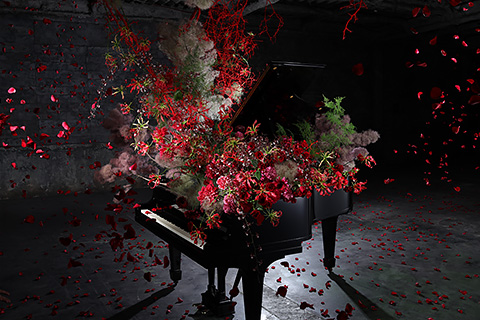 公式ページより撮影サンプル（使用カメラ：EOS R）