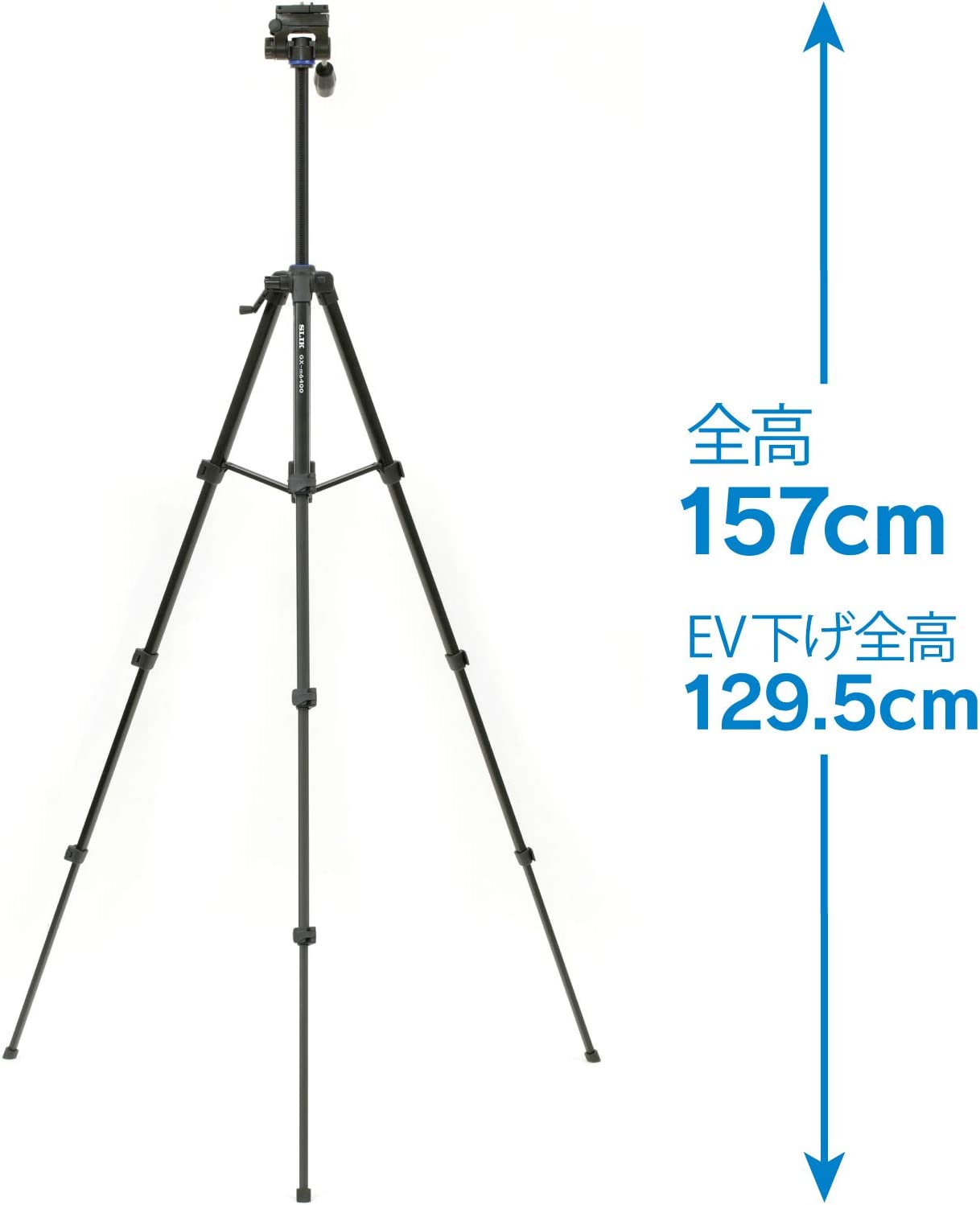 最高で157cmまで到達する