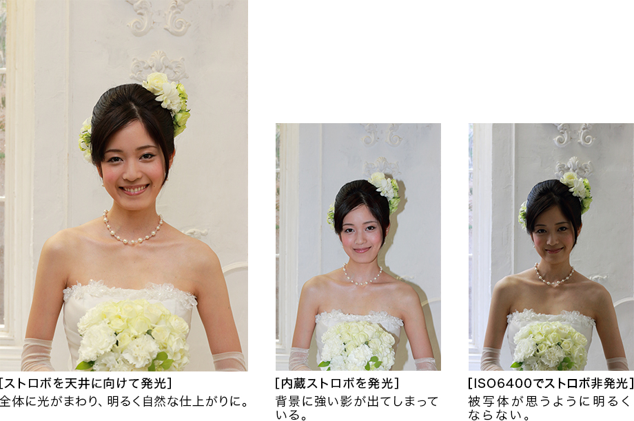 公式ページより使用サンプル