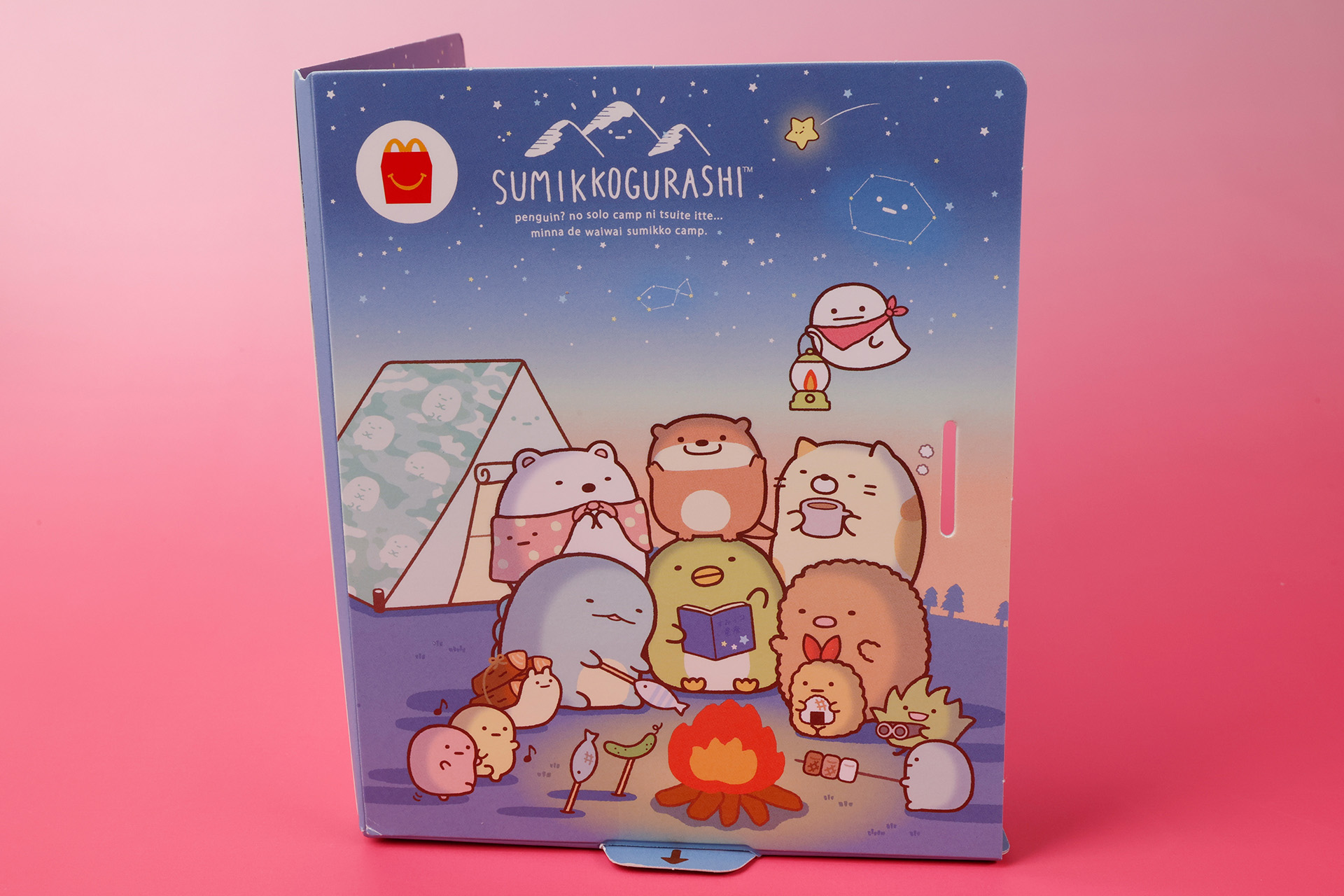 表紙のイラストでは、すみっ子たちがキャンプで寄り添っている様子が描かれている