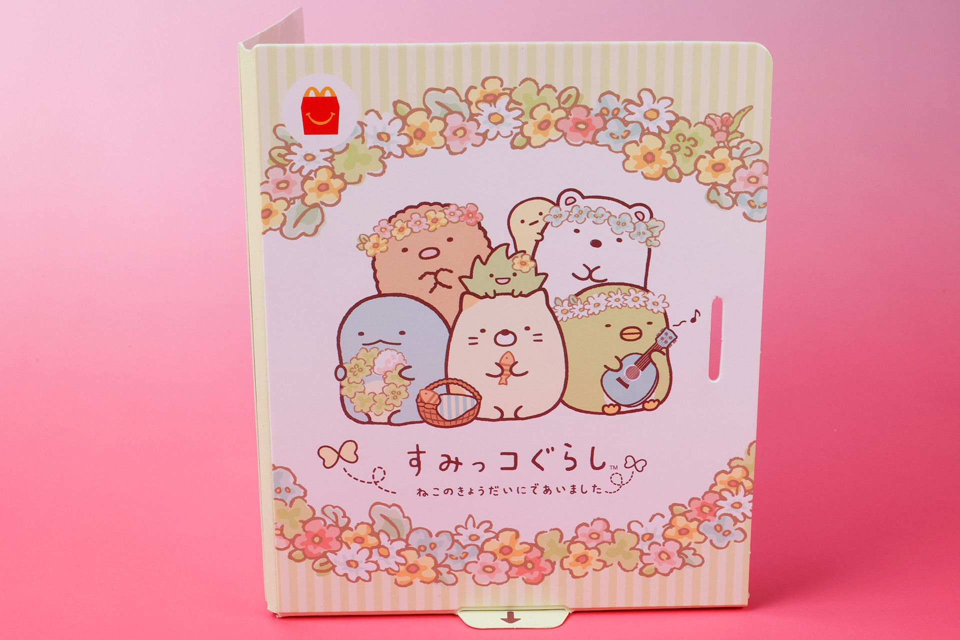 表紙には、ファンシーなすみっコたちのイラストが描かれている