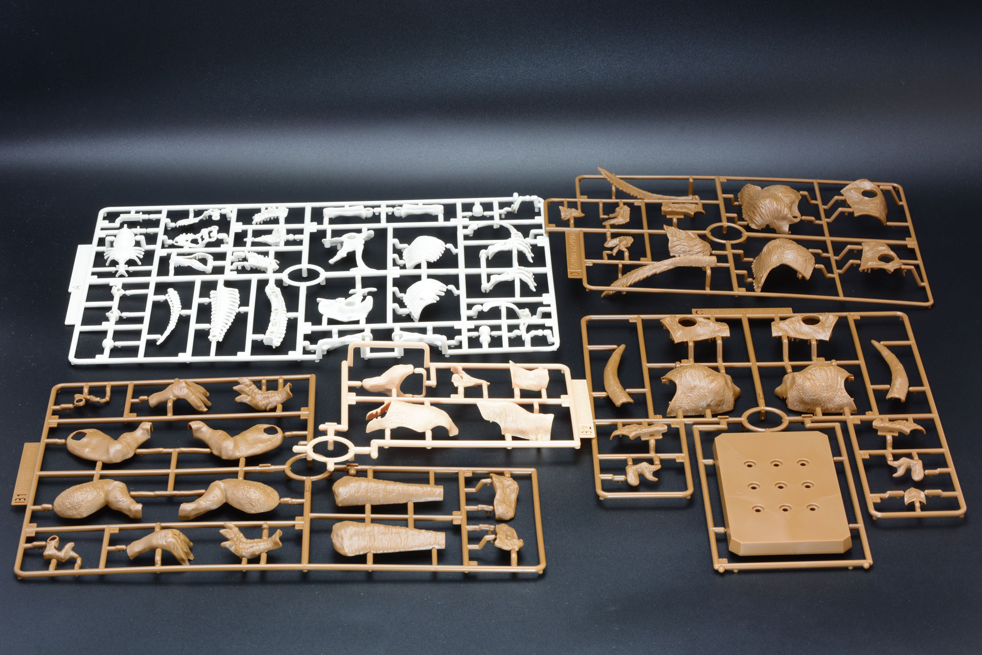 ランナーは全部で5枚