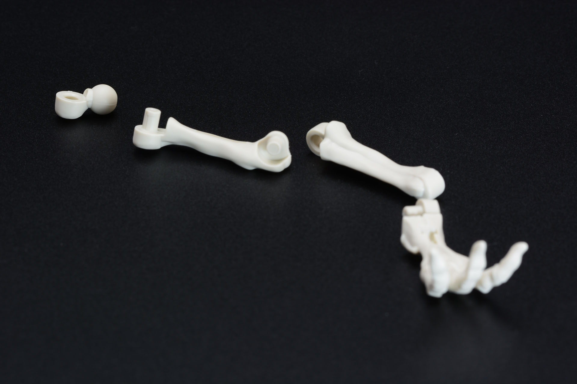 大きな後ろ足、鳥のような足先だ