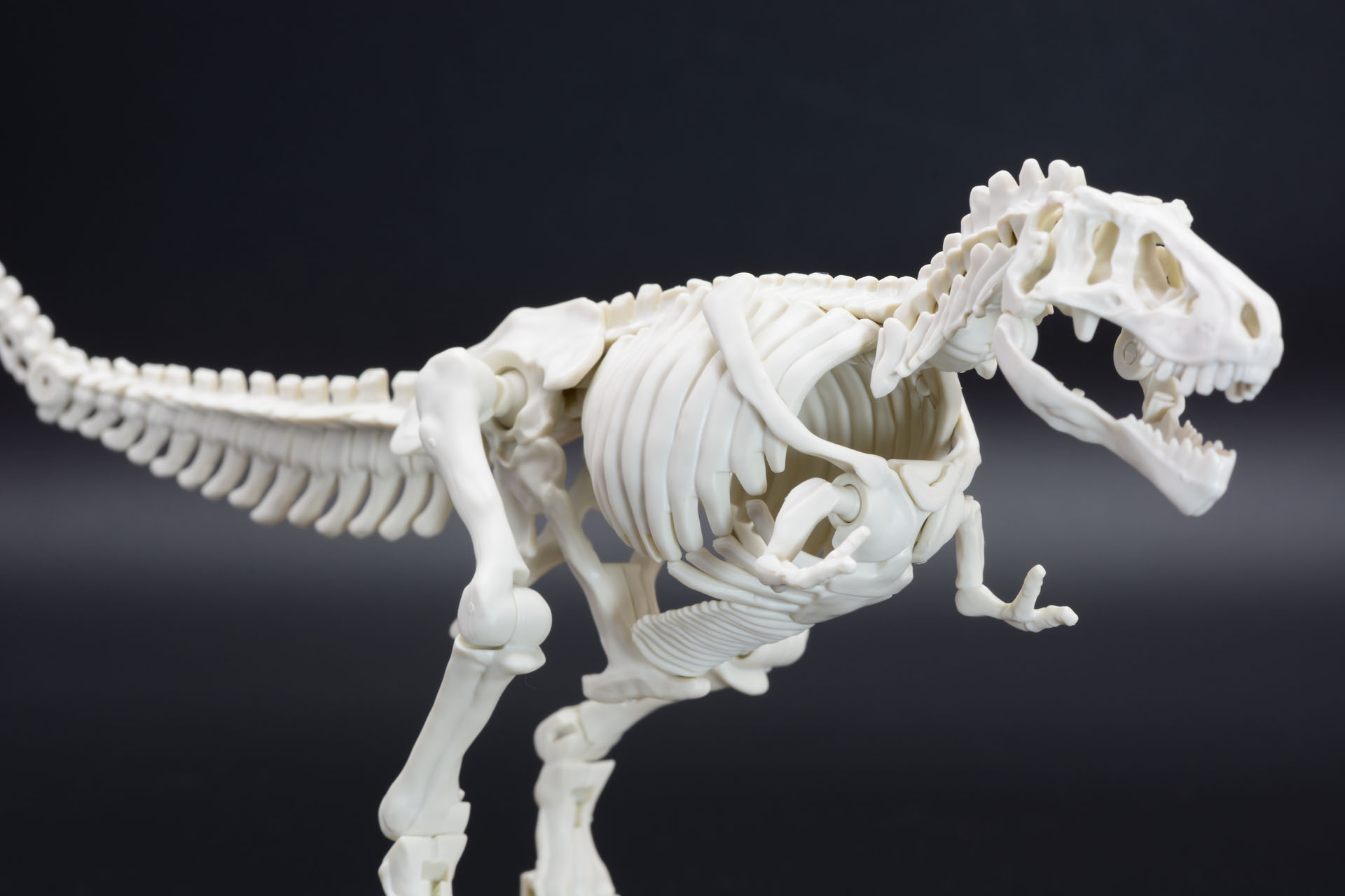 骨格モデルは可動域が広く、様々なポーズがとれる