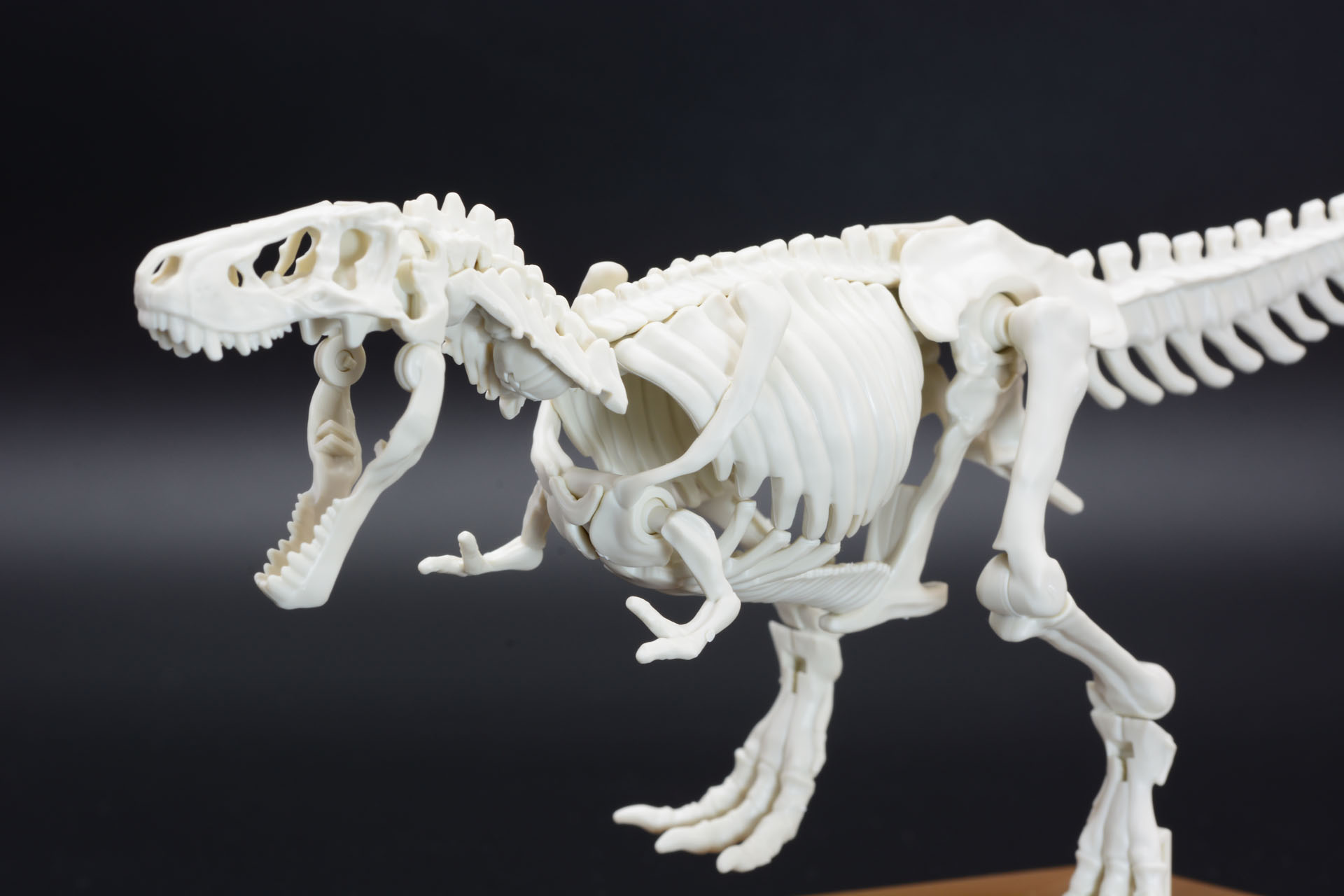 骨格モデルは可動域が広く、様々なポーズがとれる