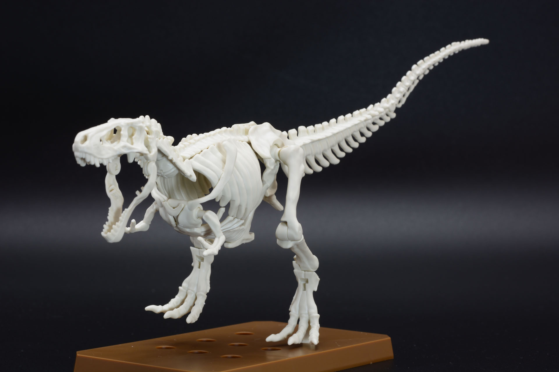 骨格モデルは可動域が広く、様々なポーズがとれる