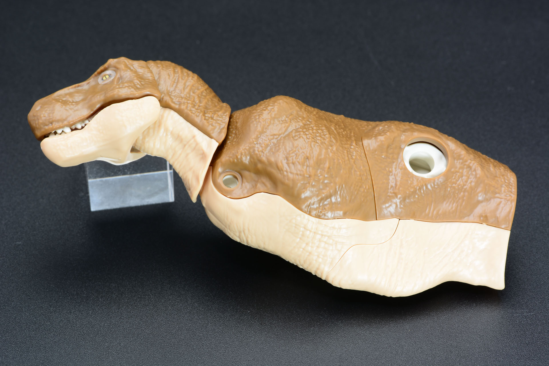 外装の成形色は2色だが、かなりリアルなティラノサウルスとなっていく